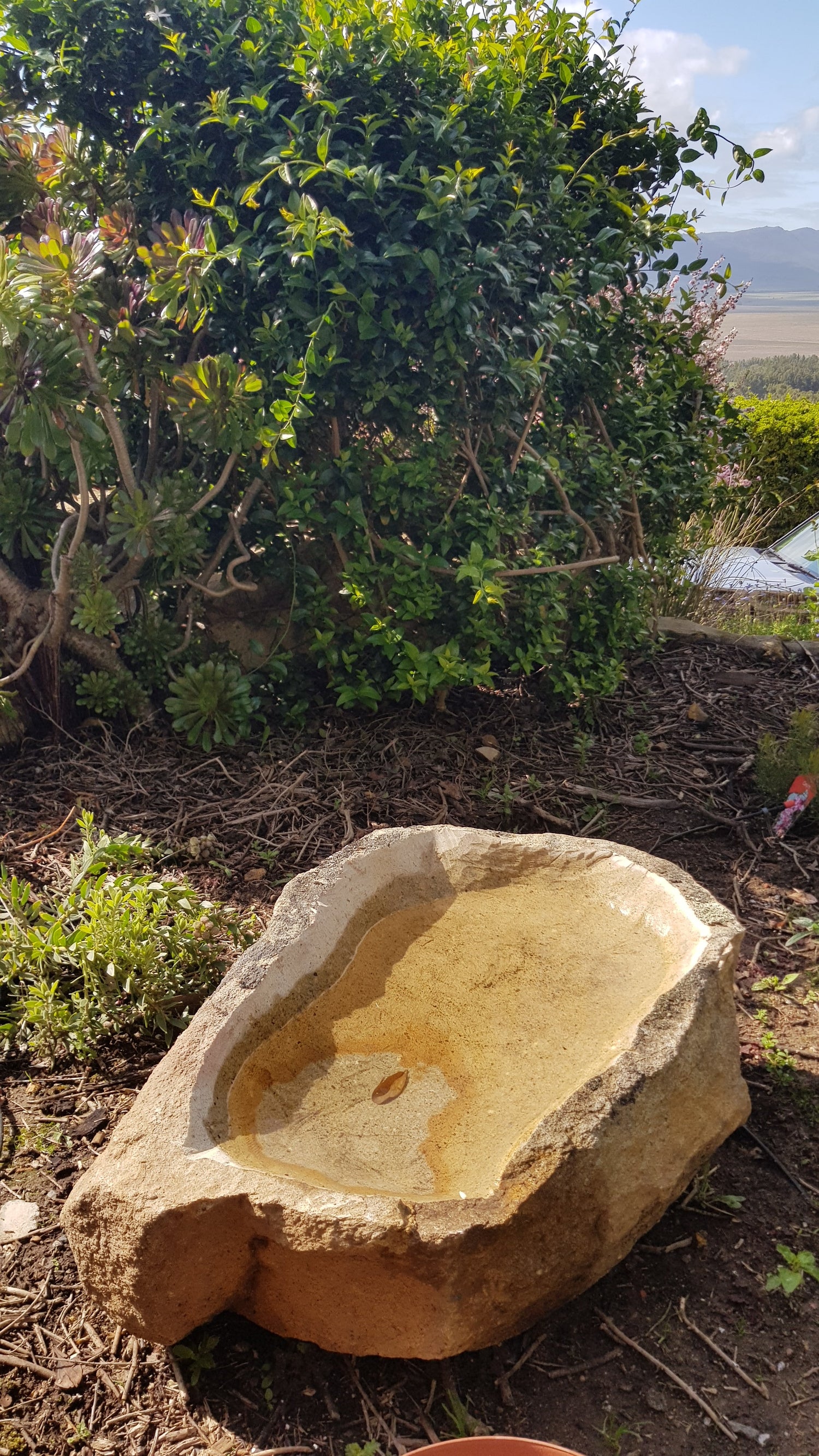 Bird Baths - Extra Large