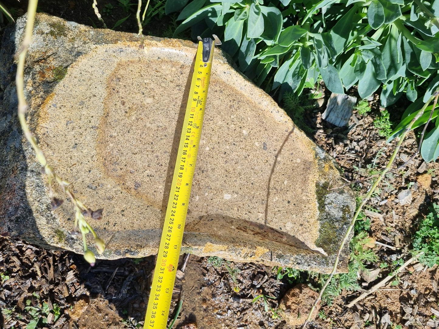 Bird Bath - Medium Granite