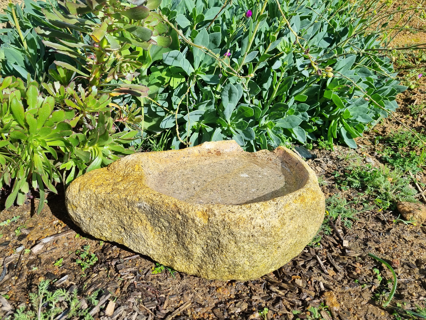 Bird Bath - Medium Granite