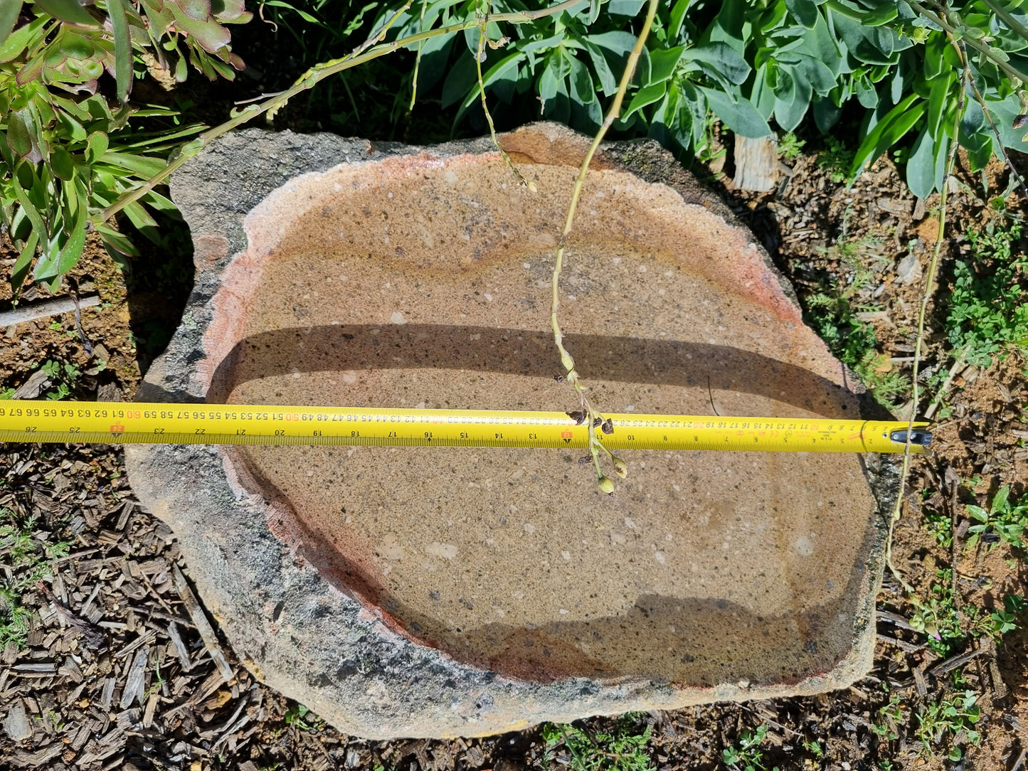 Bird Bath - XL Granite