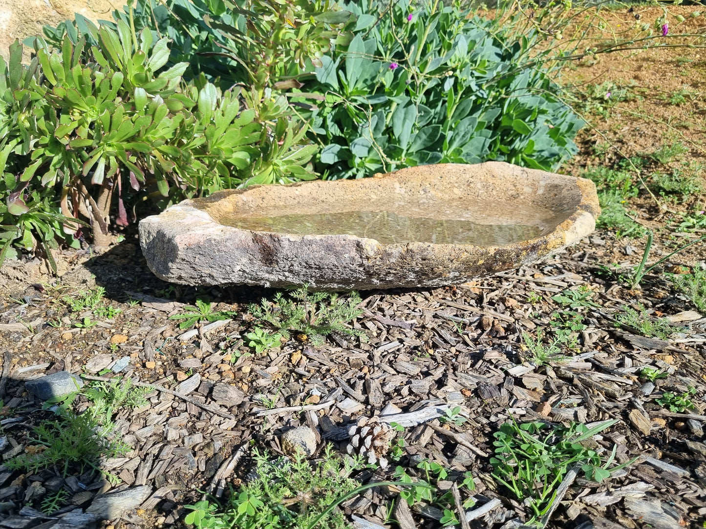 Bird Bath - XL Granite