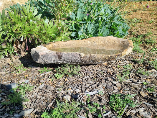 Bird Bath - XL Granite