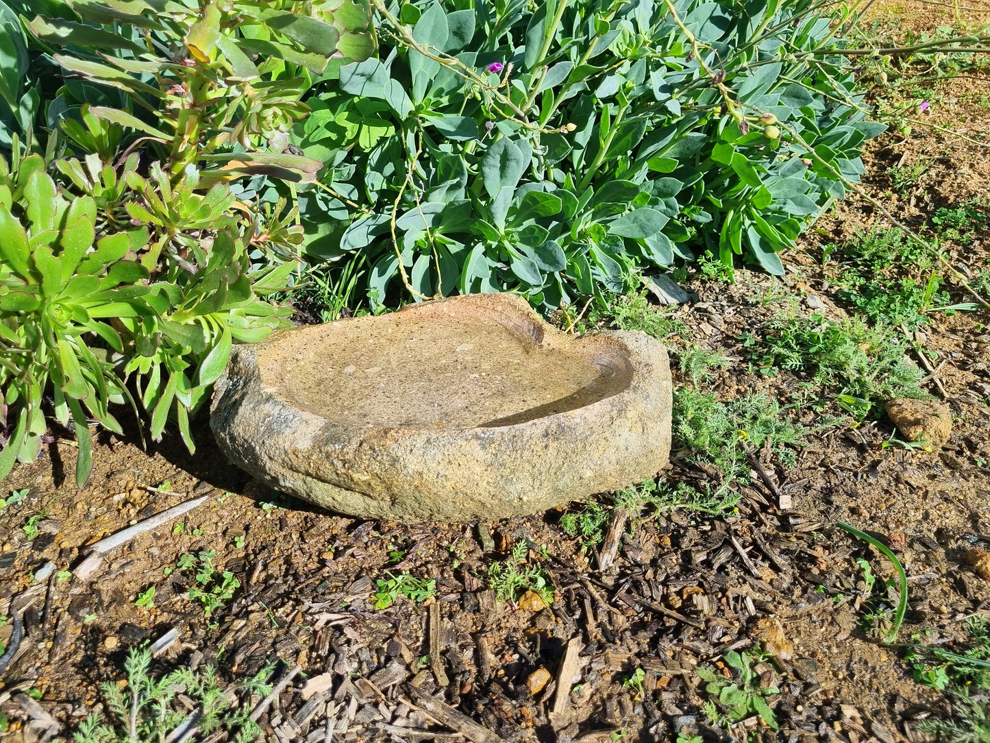 Bird Bath - Small Granite