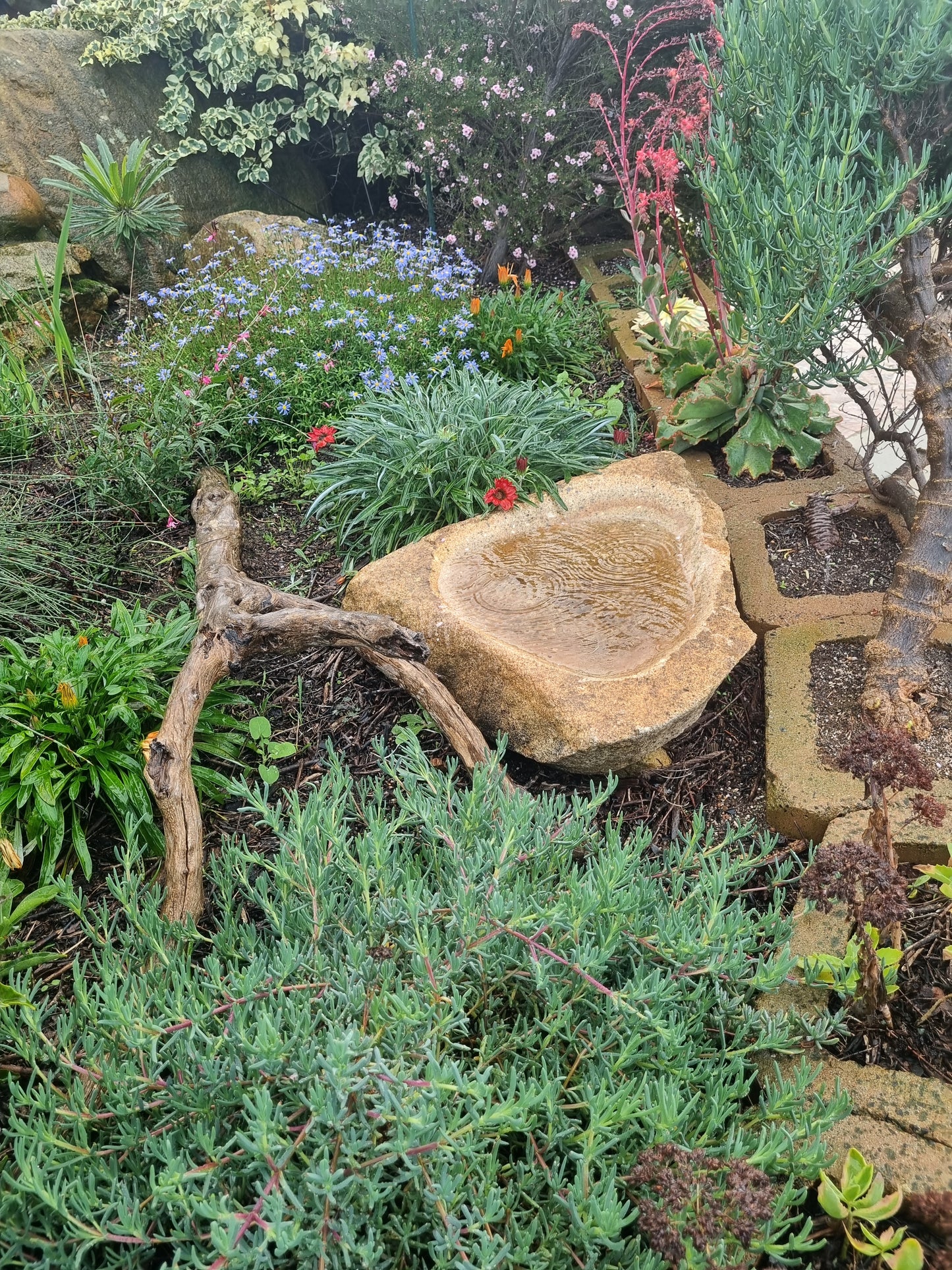 Bird Bath - XL Granite