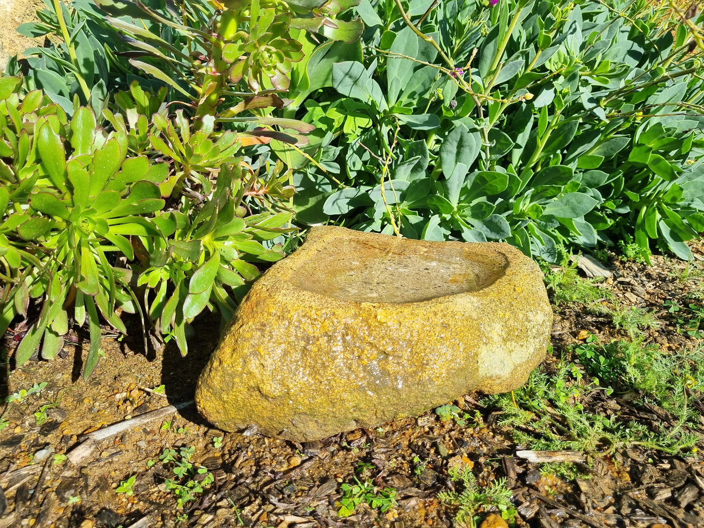 Bird Bath - Small Granite