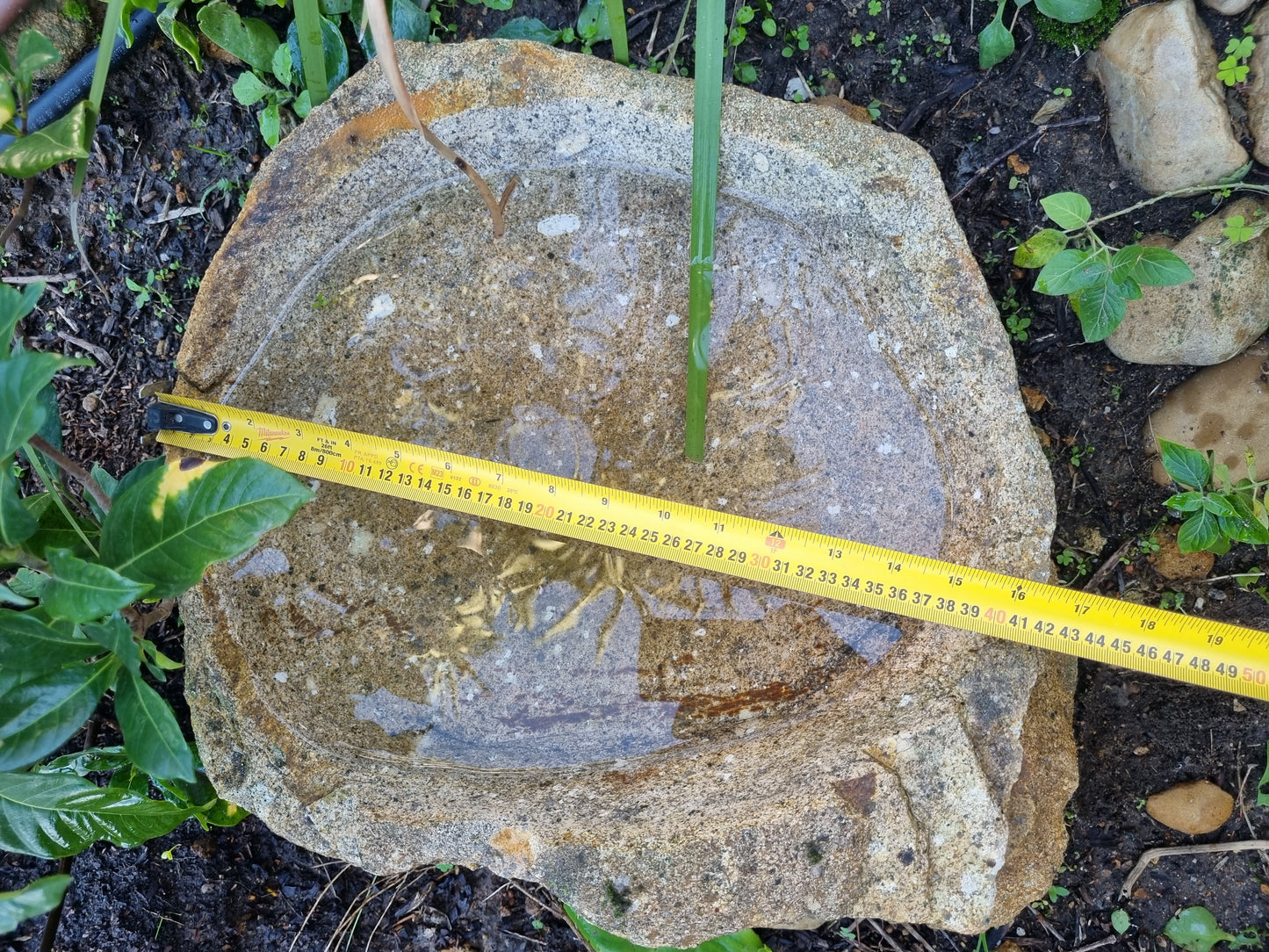 Bird Bath - Large Granite